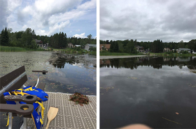 lac